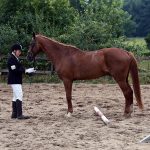 PRÜFUNG_2016 08 02_2101