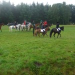 Sommer 2008 (22)