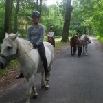 Sommer 2008 (4)