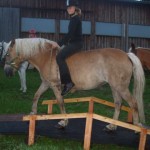 Sommer 2008 (46)
