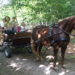 Sommer 2008 (52)