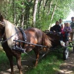 Sommer 2008 (55)