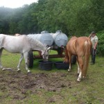 Sommer 2008 (6)